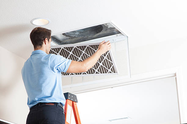 Best HVAC Cleaning Services  in River Rouge, MI